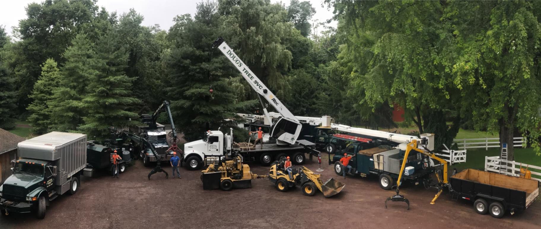 Doug's Tree fleet