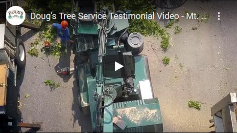 video testimonial screenshot