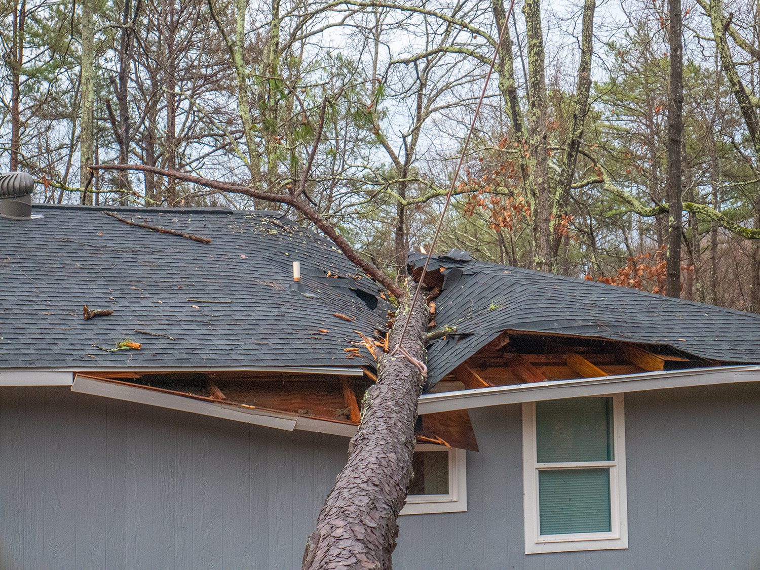 Storm damage tree on the roof.